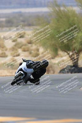 media/May-14-2023-SoCal Trackdays (Sun) [[024eb53b40]]/Turn 5 Tree of Life (1125am)/